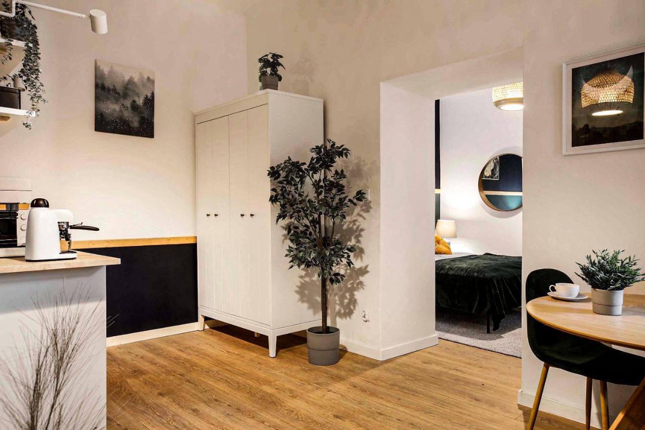 Charming Apartment, Wawel & Old Town Apartment